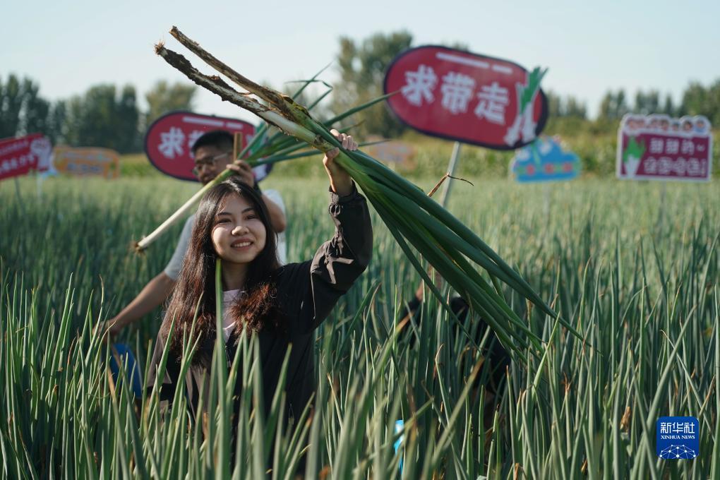 大西洋电玩城